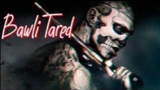 Bawli tared //  Sumit goswami song // slowed reverb song official song lyric 😎🤟