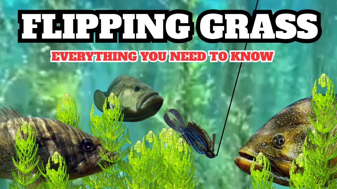 Grass Fishing Secrets All In One Video