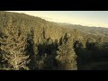 КРИЛА / Carpathians / FPV cinematic video