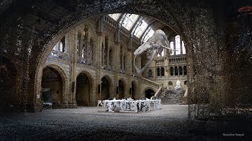 pointcloud anim in blender