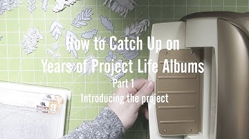 How to Catch Up on YEARS of Unfinished Project Life Albums / P.1