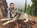 Idaho Wolf Hunt