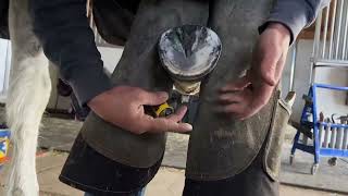 How to balance horse feet without X-rays by The Western States Farrier 2,345 views 2 months ago 12 minutes, 25 seconds