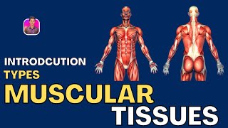 Muscular Tissue and It's Types | Tamil