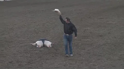 Bear Pascoe competing in the Reno Rodeo