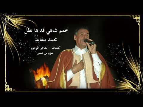 نخمم شاهي قداها نطل محمد بنقايد