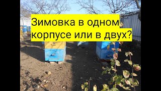 Зимовка в одном корпусе или в двух