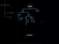 Different Data Types