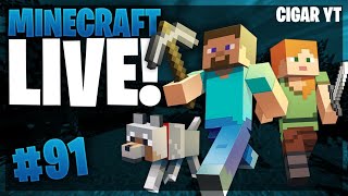 12 hours of minecraft ||Minecraft India live #91|| !vlog !video