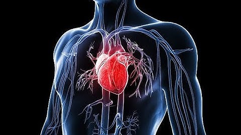 [ Nội ] TH TLS Modun Tim mạch