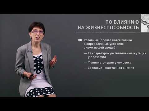 2 6  Как еще можно сортировать мутации