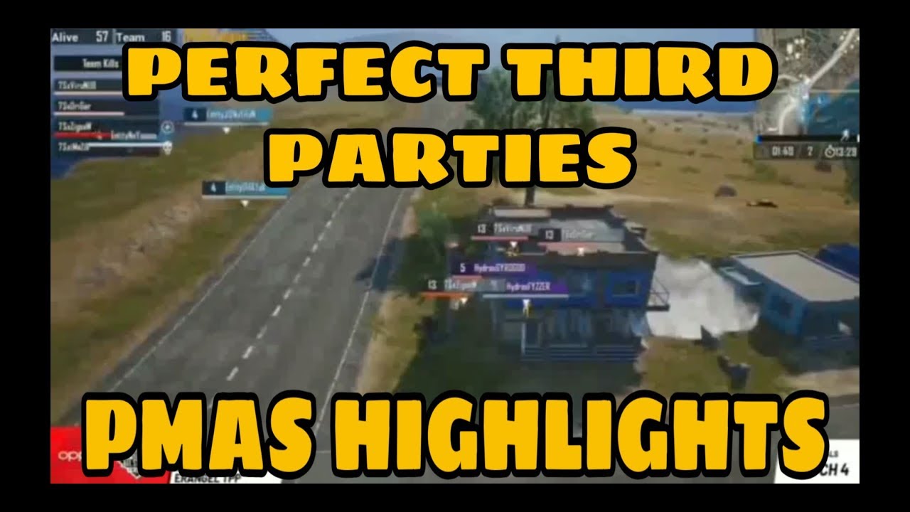 Perfect Third Parties ft. ENTITY, 7S, HYDRA, IND, FNATIC, INS || PMAS HIGHLIGHTS