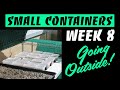 Growing San Pedro & Peyote in Small Containers Week 8