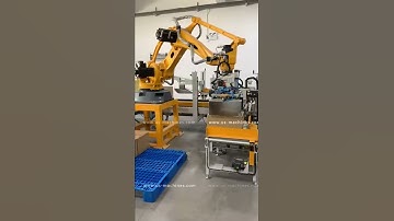 Paper rolls bag robot hand cartoning sealing palletizing machine packing video