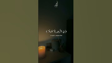 سورة هود | القارئ : #اسلام_صبحي #قرآن  #quran #راحة_نفسية #viral #foryou #اجر_لي_ولكم 🤍.