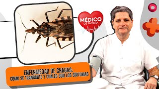 Enfermedad de Chagas: cómo se transmite y cuáles son los síntomas | #MedicoDeFamilia screenshot 4