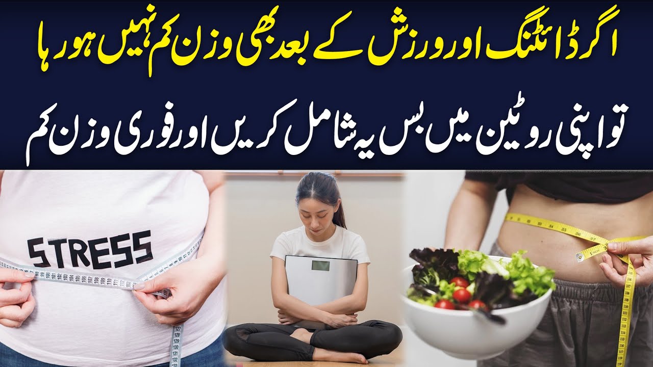 Why Not Losing Weight After Dieting and Exercise? | Weight Lose Tips ...