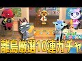 あつ森からの新住民を求めて離島ツアーに10回行った結果!【あつまれどうぶつの森】
