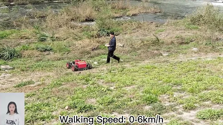 China lawn trimmer with best price for sale buy online