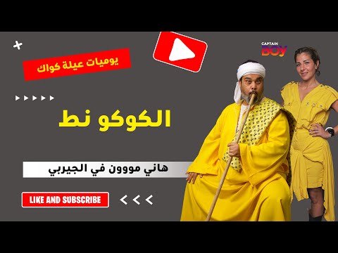 الكوكو نط يوميات عيلة كواك زغط البط