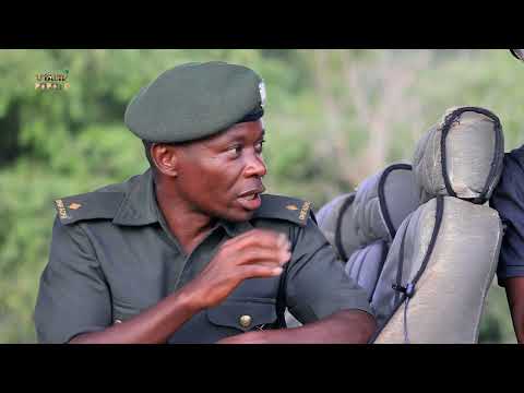 Faru Wa Kisima The Black Rhinos Of Mkomazi National Park