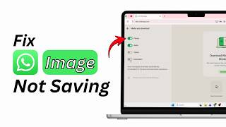How to Fix WhatsApp Images Not Saving in Gallery on PC & Laptop | WhatsApp Download Fix screenshot 3