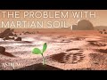 Has NASA Solved the Perchlorate Problem on Mars?
