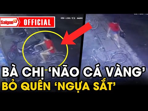 Video Bà chị 'NÃO CÁ VÀNG' bỏ quên 'NGỰA SẮT' tại chỗ mà... - youtube