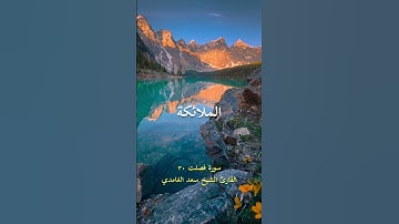 سورة فصلت 30 سعد الغامدي