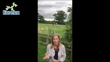 Introducing Me (Danielle) - I am a Eureka teacher! | Teaching in Hong Kong