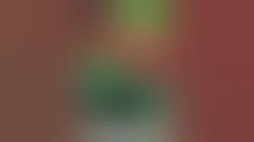 Hewwoo Nsfw Horsecock 