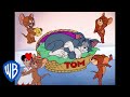 Tom y Jerry en Latino | Jerry el Pícaro | WB Kids