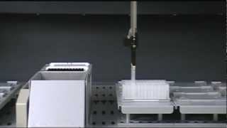 Purification Automation of Protein A Antibody Binding PhyTip Columns on LiHa Tecan Robot
