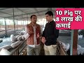सूअर फार्म खोलने के कितने दिन बाद कमाई होगी । How to start pork farming