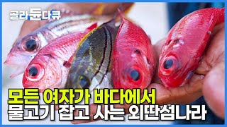 전기 수도 없고 농사는 안돼. 여자도 남자도 오로지 물고기만 잡아먹고 사는 외딴섬나라┃동티모르 원시의 섬, 오지의 삶┃아다라 섬┃인간과 바다┃#골라듄다큐