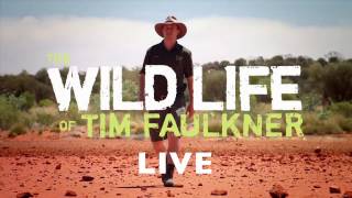 Tim Faulkners Wild Life LIVE comes to The Australian Reptile Park