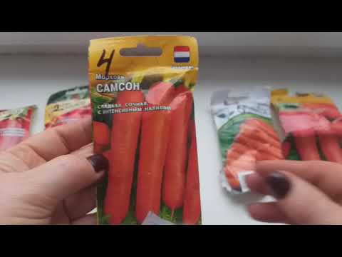 Видео: Засаждане на моркови на открито