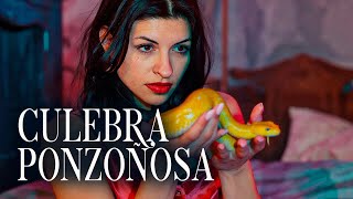 CULEBRA PONZOÑOSA - CAZZU
