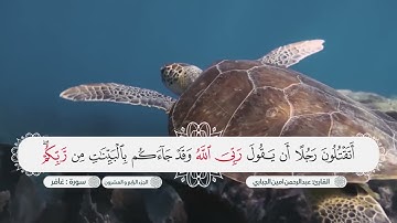 سورة غافر بصوت القارئ عبدالرحمن امين الجباري