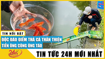 Tổng hợp những lưu ý cúng Tết ông Công ông Táo, vì sao phải thả cá chép? |  Tv24h