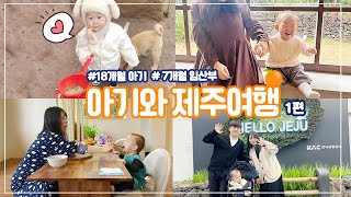 18개월 아기와 제주여행🍊1편 VLOG  (feat. 7개월차 임산부, 비오는 날) | 맛집🍴| 숙소추천🏠| 볼거리🌸