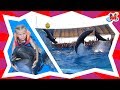 ДЕЛЬФИНАРИЙ 🐬 все ТРЮКИ ЗА 3 минуты🌊МАША купается с Дельфинами ШОУ Dolphinarium all tricks Swiming