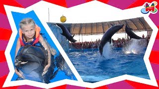 ДЕЛЬФИНАРИЙ 🐬 все ТРЮКИ ЗА 3 минуты🌊МАША купается с Дельфинами ШОУ Dolphinarium all tricks Swiming ДЕЛЬФИНАРИЙ 🐬 все ТРЮКИ ЗА 3 минуты🌊МАША купается с Дельфинами ШОУ Dolphinarium all tricks Swiming