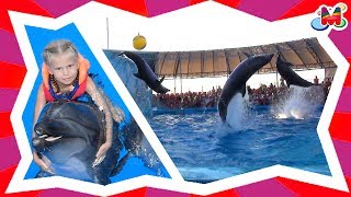 ДЕЛЬФИНАРИЙ 🐬 все ТРЮКИ ЗА 3 минуты🌊МАША купается с Дельфинами ШОУ Dolphinarium all tricks Swiming