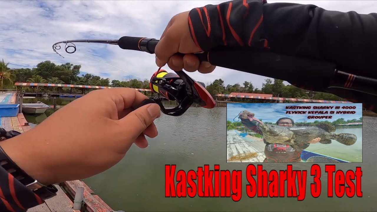Kastking Sharky III Torture Test  Strike Big Grouper Fish 20kg