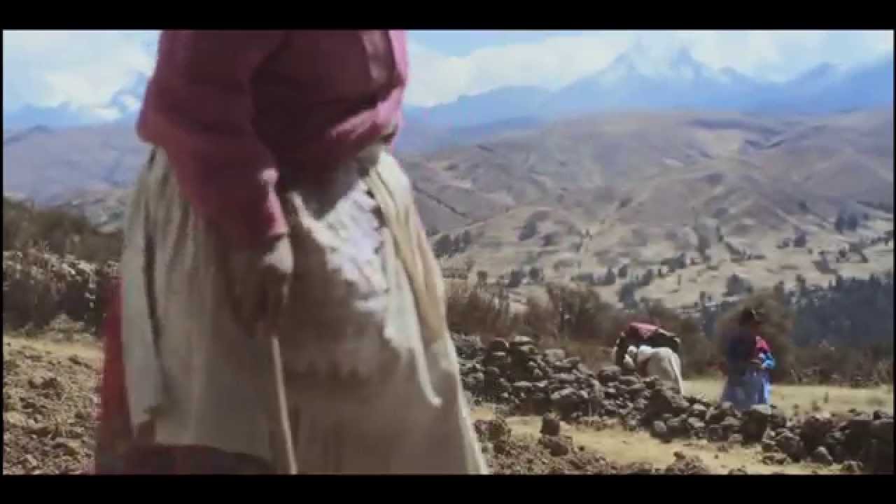 CLIMAS - Trailer oficial