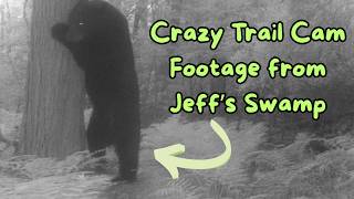 Crazy Trail Footage from Jeff's Swamp