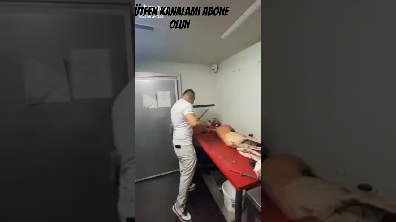 2 dakkada kuzu nasıl parçalanır #kebap #kasapafm #steak #yemektarifleri #sports #spotify #sport 2 dakkada kuzu nasıl parçalanır #kebap #kasapafm #steak #yemektarifleri #sports #spotify #sport