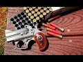 Bond Arms .45 Colt/ .410 Shotshell