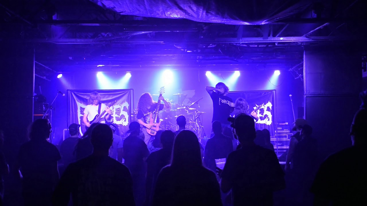 Forces - Call of the void